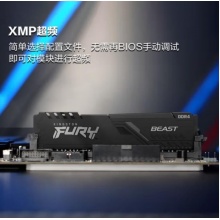 金士顿 (Kingston) FURY 8GB DDR4 3200 台式机内存条 Beast野兽系列 骇客神条