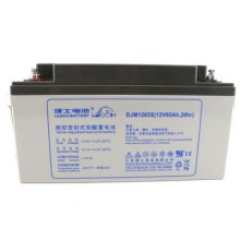 理士电池(LEOCH) DJM-中密系列 12V 20HR 65Ah/80Ah/100Ah蓄电池 UPS不间断电源铅酸蓄电池