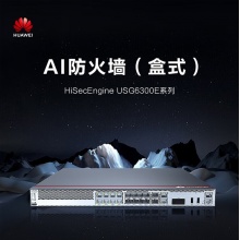 华为（HUAWEI） USG6000系列企业级千兆防火墙 商用办公VPN网关物理硬件安全核心路由器 USG6309E-AC 机架式 带机量500